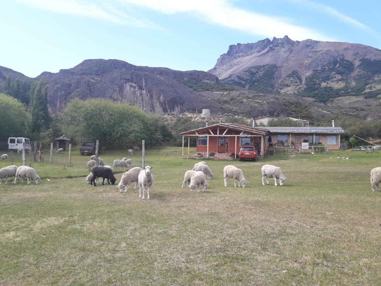 Hospedaje El Juncal Puerto Ingeniero Ibanez Eksteriør billede